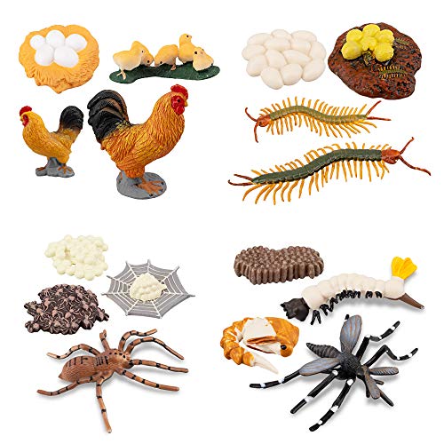 TOYMANY 16PCS Life Cycle of Chicken Hen Centipede Spider Mosquito Farm Animals Figure, Plastic Food Chain Animal Figurines Toy Kit Educational School Project for Kids Toddlers