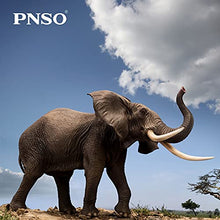 Load image into Gallery viewer, PNSO Animals Figures Series (African Elephant 13&quot;)
