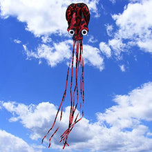Load image into Gallery viewer, Shan-S Flyer Kite,Large Long Tail Beach Kites-Perfect Toy for Kids and Adults Outdoor Game
