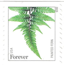 Load image into Gallery viewer, USPS Ferns Forever Stamps - 25 Stamps
