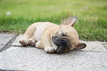 Load image into Gallery viewer, Sleeping Pug Puppy
