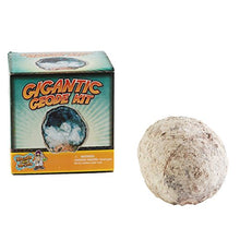 Load image into Gallery viewer, Break Open A Gigantic Geode - This Large Rock Has Amazing Crystals Inside!
