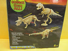 Load image into Gallery viewer, The Dig Team Triceratops 2 in 1 Dino Dig Build Play Kit
