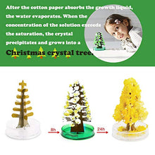 Load image into Gallery viewer, Magic Growing Christmas Tree Filler Crystal Presents Novelty Kit for Kids Felt Magic Growing Funny Xmas Ornaments Wall Hanging Gifts for Kids Funny Educational and Party Toys
