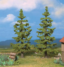Load image into Gallery viewer, Spruce Trees - Profi - 5-1/8 &amp; 5-11/16&quot; 13 &amp; 14.5cm Tall pkg(2)
