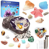 GILI Gemstone and Fossil Dig Kit, Learning & Education Toys for Kids 6-8, Shining Crystals and Sea Fossils in 4 Digging Bricks, Christmas and Birthday Gift for 6 7 9 10 Year Old Girls Boys