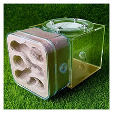 Load image into Gallery viewer, LLNN Insect Villa Acryl Ant Farm DIY Nest, Plaster Ant Workshop Ant Nest Acrylic Ants Farm Kids DIY Educational Toys Pet Ants Insect Cages Festival Birthday Gift (Color : B)
