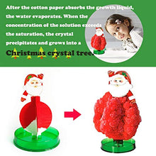 Load image into Gallery viewer, Paper Tree Magic Growing Tree Toy Boys Girls Novelty Xmas 40ml (1PCS,F)
