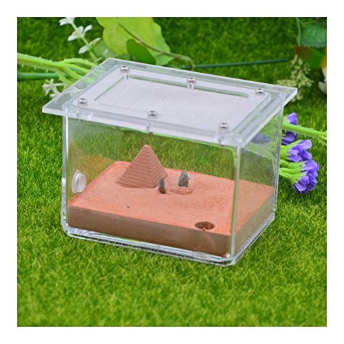 LLNN Insect Villa Acryl Ant Farm DIY Nest, Ant Farm Castle Acryl Box, Great Gift for Kids and Adults, Study of Ant Behavior & Ecosystem 4x3.2x3.2 Inch Festival Birthday Gift (Color : C)