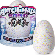 Load image into Gallery viewer, Hatchimals Mystery - Hatch 1 of 4 Fluffy Interactive Mystery Characters from Cloud Cove (Styles May Vary)
