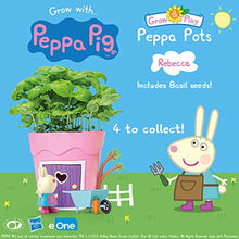 Load image into Gallery viewer, Peppa Pig PP103 Peppa Pots Rebecca Rabbit Kids&#39; Animal &amp; Insect Habitat Kits, Pink
