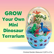 Load image into Gallery viewer, Creativity for Kids Mini Garden: Dinosaur Terrarium - Arts and Crafts for Boys and Girls Ages 6-8+

