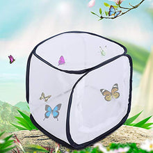 Load image into Gallery viewer, Insect Mesh Cage, 12 X 12 X 12 Inches Foldable Portable Net Box Zinc Coated Wire Butterfly Cage, Insect Screen Incubator Plant Growing Clear Observation Portable with Zipper Door
