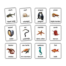 Load image into Gallery viewer, Sea Animals Flash Cards - 26 Laminated Flashcards | Ocean Animals | Water Animals | Homeschool | Multilingual Flash Cards | Bilingual Flashcards - Choose Your Language (Turkish + English)
