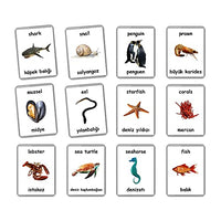 Sea Animals Flash Cards - 26 Laminated Flashcards | Ocean Animals | Water Animals | Homeschool | Multilingual Flash Cards | Bilingual Flashcards - Choose Your Language (Turkish + English)