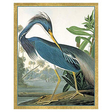 Load image into Gallery viewer, Caspari Audubon Birds Bridge Playing Cards Tally Sheets - 60 Sheets
