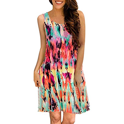 Women Dress-Han Shi Summer Casual Floral Printed Swing Sundress with Pocket (Colorful, L)