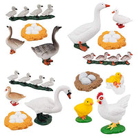 TOYMANY 16PCS Life Cycle of Goose White Swan Chicken Duck Farm Animals Figures, Plastic Safariology Growth Cycle Eggs Figurines Toy Kit School Project Cake Topper for Kids Toddlers