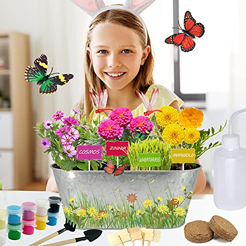 Plant Flower Growing Kit-Kids Gardening Science Gifts for Girls and Boys Ages 4-12-STEM Arts Crafts Project Activity-Cosmos&Zinnia&Wheatgrass Garden: Includes Everything Needed to Paint and Grow