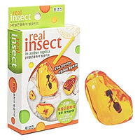 Real Insect Fossil Excavation Kit, Real Bug Dig in Amber Replica 1 Ea, Great Science Gift