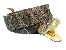 Load image into Gallery viewer, 1.25&quot; Rattlesnake Hat Band with Head &amp; Rattle (598-HB204)
