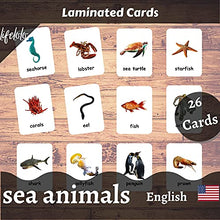 Load image into Gallery viewer, Sea Animals Flash Cards - 26 Laminated Flashcards | Ocean Animals | Water Animals | Homeschool | Multilingual Flash Cards | Bilingual Flashcards - Choose Your Language (English Only)
