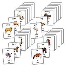 Load image into Gallery viewer, Farm Animals Flash Cards - 27 Laminated Flashcards | Homeschool | Montessori Materials | Multilingual Flash Cards | Bilingual Flashcards - Choose Your Language (Punjabi + English)
