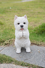 Load image into Gallery viewer, Playing Westie
