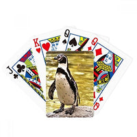 DIYthinker Southern Ocean Penguin Antarctic Science Nature Poker Playing Magic Card Fun Board Game