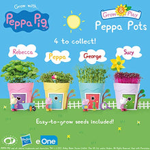 Load image into Gallery viewer, Peppa Pig PP103 Peppa Pots Rebecca Rabbit Kids&#39; Animal &amp; Insect Habitat Kits, Pink
