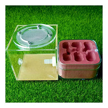 Load image into Gallery viewer, LLNN Insect Villa Acryl Ant Farm DIY Nest, Ant Farm Kid Educational Toys Acrylic Worm Cage Ant Habitat - for Study The Behavior of Ant and Social Structure Festival Birthday Gift (Color : A)
