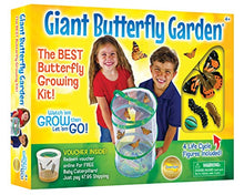 Load image into Gallery viewer, Insect Lore Giant Butterfly Kit: Deluxe 18&quot; Habitat, Voucher For 5 Caterpillars, Butterfly Play Set
