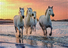 Load image into Gallery viewer, Horse Puzzle or Horse Puzzles for Adults 1000 Piece Horses Puzzle Frame with Fun Fact Poster &amp; Reference Poster, Large Puzzle Galloping Horses on The Beach Illustration - 20x27 inches

