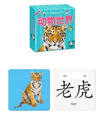 Load image into Gallery viewer, 42 Pcs Picture Words Flash Cards Animal Wolrd Flash Cards #01
