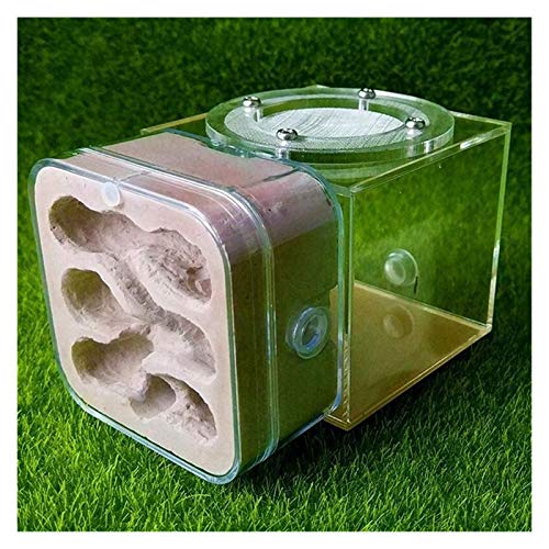 LLNN Insect Villa Acryl Ant Farm DIY Nest, Plaster Ant Nest Acrylic Ants Farm Kids DIY Educational Toys Pet Ants Insect Cages Children Birthday Gifts Festival Birthday Gift (Color : C)