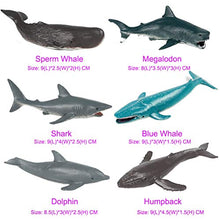 Load image into Gallery viewer, Flormoon Animal Figures 10 pcs Realistic Plastic Marine Animals Figurines Set Includes Blue Whale, Dolphin, Humpback etc. Science Project, Learning Educational Toys, Birthday Gift for Kids Toddlers
