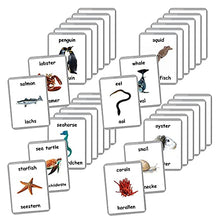 Load image into Gallery viewer, Sea Animals Flash Cards - 26 Laminated Flashcards | Ocean Animals | Water Animals | Homeschool | Multilingual Flash Cards | Bilingual Flashcards - Choose Your Language (German + English)
