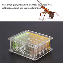 Load image into Gallery viewer, Nest Plastic Acrylic Durable Feed Farm Villa House Tower Display Box Educational Science Experiment Formicarium
