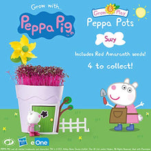 Load image into Gallery viewer, Peppa Pig PP104 Peppa Pots Suzy Sheep Kids&#39; Animal &amp; Insect Habitat Kits, Purple, 10.5 x 12 x 15.8 cm
