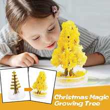 Load image into Gallery viewer, Magic Growing Christmas Tree Filler Crystal Presents Novelty Kit for Kids Felt Magic Growing Funny Xmas Ornaments Wall Hanging Gifts for Kids Funny Educational and Party Toys
