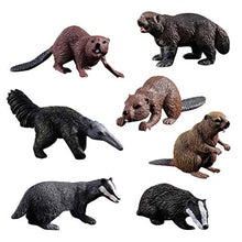 Load image into Gallery viewer, HOMNIVE Realistic Animal Figures - 7pcs Animals Action Model Includes Badger Beaver Anteater Wolverine - Educational Learning Toys Birthday Gift Set for Boys Girls Kids Toddlers
