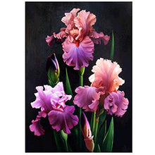 Load image into Gallery viewer, 5D Diamond Embroidery Flowers ,5D Diamond DIY Painting Flower Painting Cross Stitch Needlework Craft Decor,40x30cm
