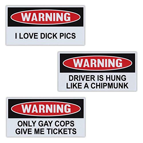 Crazy Novelty Guy Funny Warning Magnets, Practical Joke Magnet Set, 3 Magnets, Removable and Reusable!