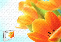 PigBangbang,20.6 X 15.1 Inch,Basswood -Flowers Spring Tulips - 300 Piece Jigsaw Puzzle