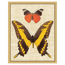 Load image into Gallery viewer, Caspari Deyrolle Butterflies Bridge Playing Cards Tally Sheets - 60 Sheets

