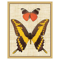 Caspari Deyrolle Butterflies Bridge Playing Cards Tally Sheets - 60 Sheets