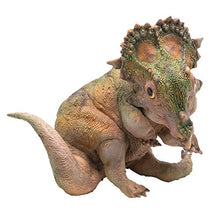 Load image into Gallery viewer, PNSO Prehistoric Dinosaur Models: (27 A-Qi The Young Sinoceratops)
