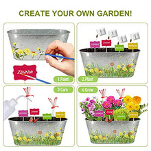 Load image into Gallery viewer, Plant Flower Growing Kit-Kids Gardening Science Gifts for Girls and Boys Ages 4-12-STEM Arts Crafts Project Activity-Cosmos&amp;Zinnia&amp;Wheatgrass Garden: Includes Everything Needed to Paint and Grow

