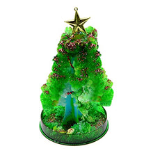 Load image into Gallery viewer, Qinday Magic Growing Crystal Christmas Tree, Presents Novelty Kit for Kids, Funny Educational and Party Toys, Xmas Novelty Creative DIY Gift for Boys Girls (Dark Green Tree)
