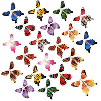 beemean Magic Flying Butterfly Gift Cards - Wind Up Butterfly in The Book Fairy Great Surprise for Wedding (20pcs)